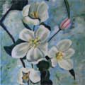 "Apple Blossoms"   6x12   Private Collection