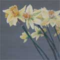"Daffodils"   12x24   Private Collection