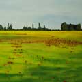"Field Of Poppies"   20x40   $400