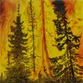 "Forest Fire"   8x16   Private Collection