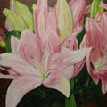 "Lillies"   36x48   Private Collection