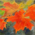 "Maple Leaves"   8x16   Private Collection