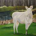 "The White Moose"   24x36   Sold